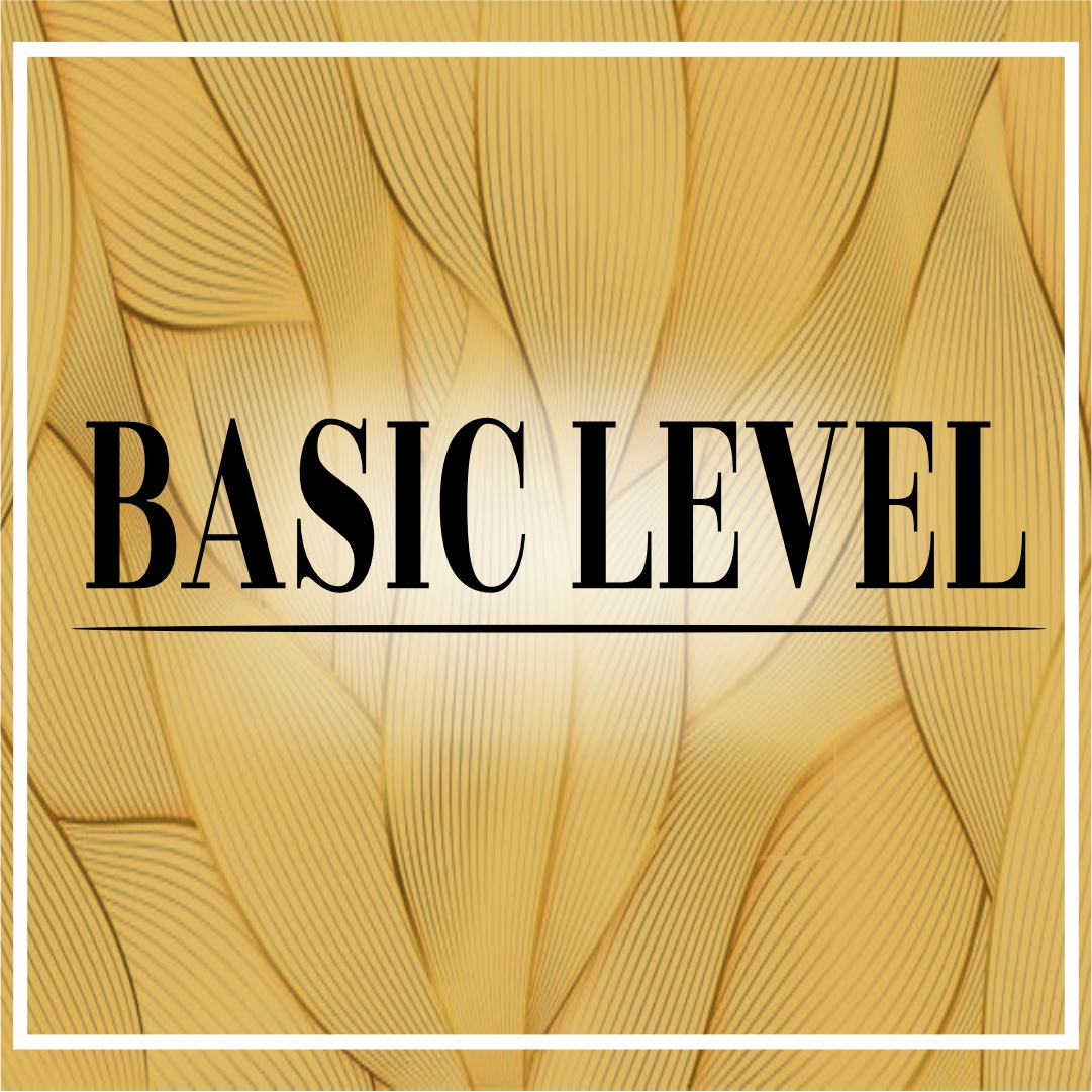 BASIC LEVEL