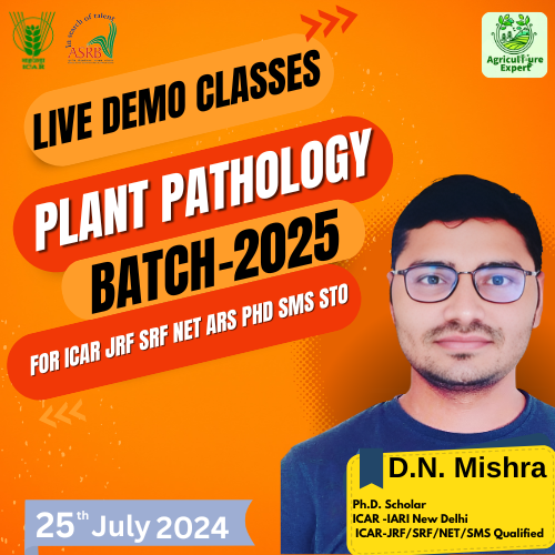 Live Batch 2025